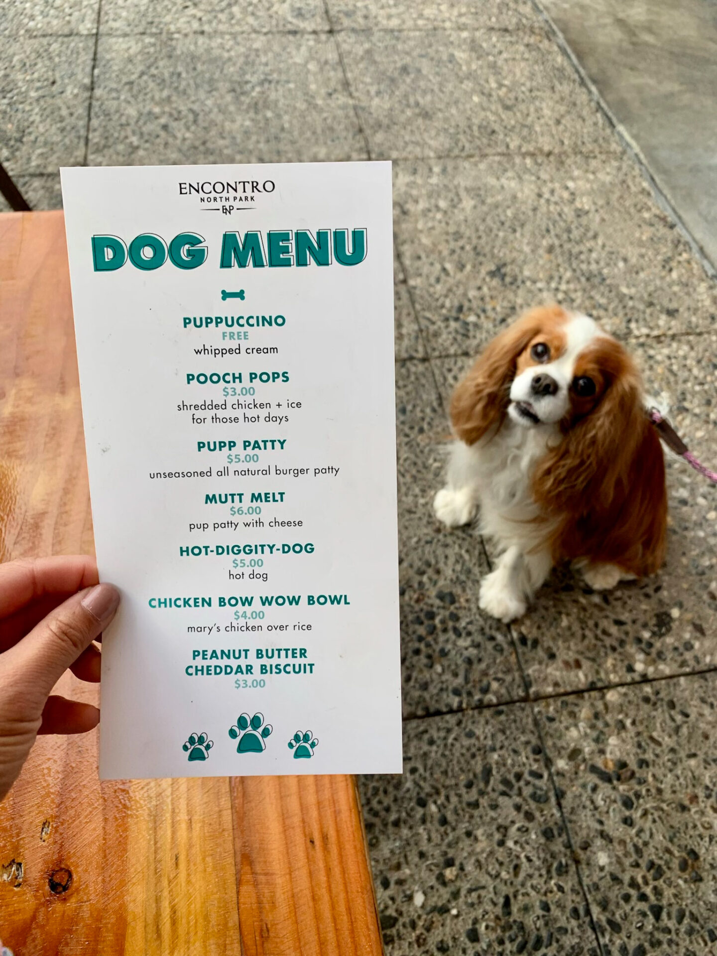 Encontro dog menu dog friendly dog eats dog patio dining