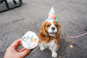 Ernie's Birthday Celebration with free cupcakes