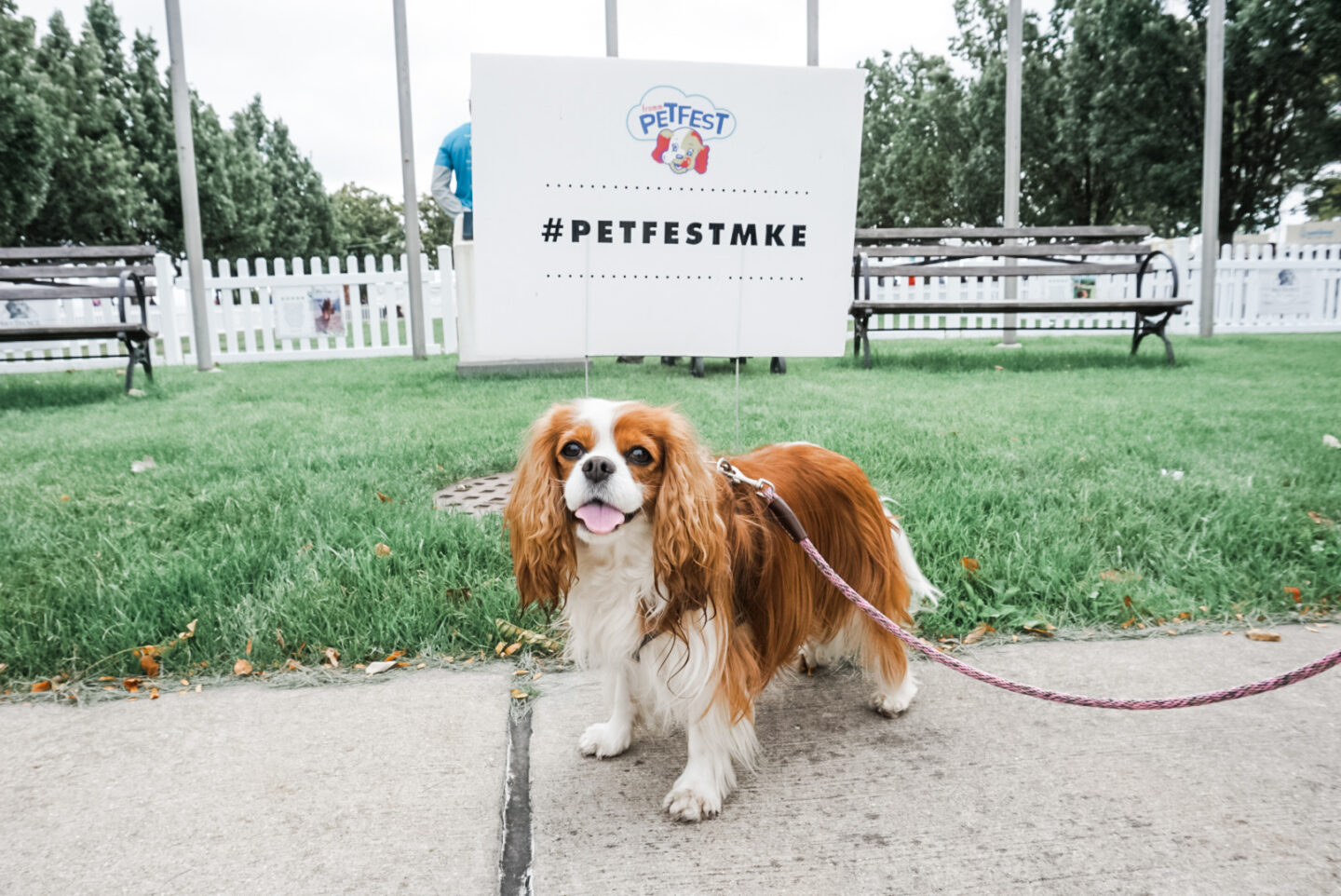 PetFest Milwaukee Dog Friendly Event