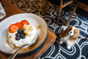 Oggie's Kitchen & Bar dog-friendly places to eat for breakfast