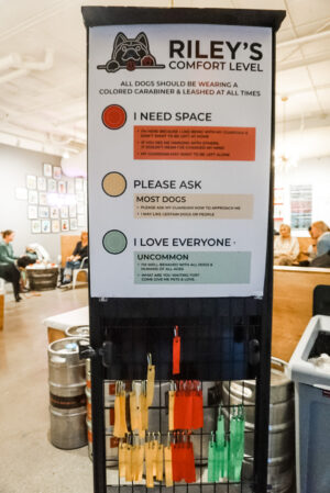 Milwaukee Eats Riley's Sandwich dog-friendly color-coded tags dog-friendly places to eat