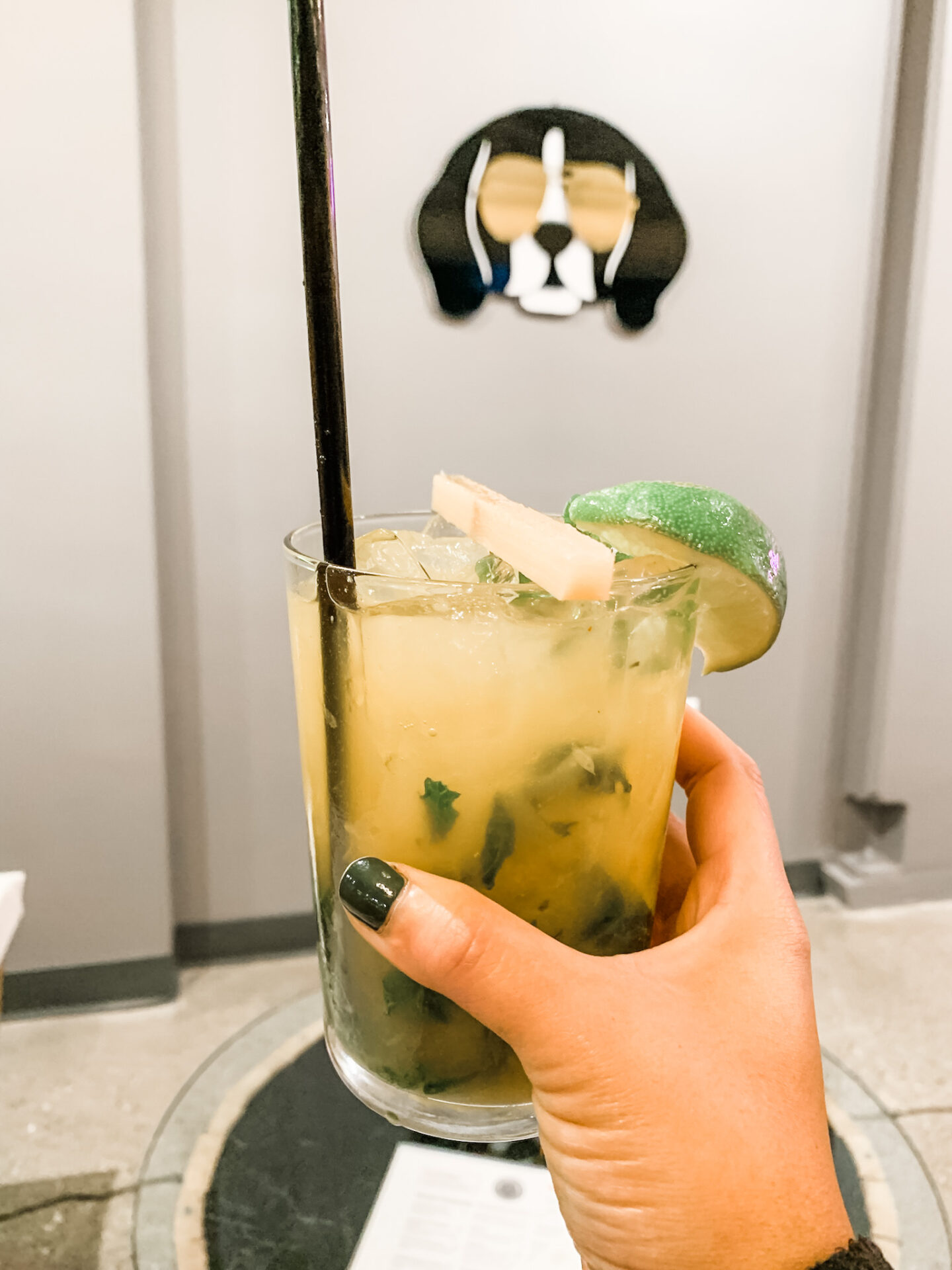 Milwaukee Eats Riley's Sandwich Mojito with sugar cane stick in dog-friendly bar and dog-friendly places to eat